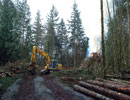 World Excavating does excavating, clearing, & driveway installation